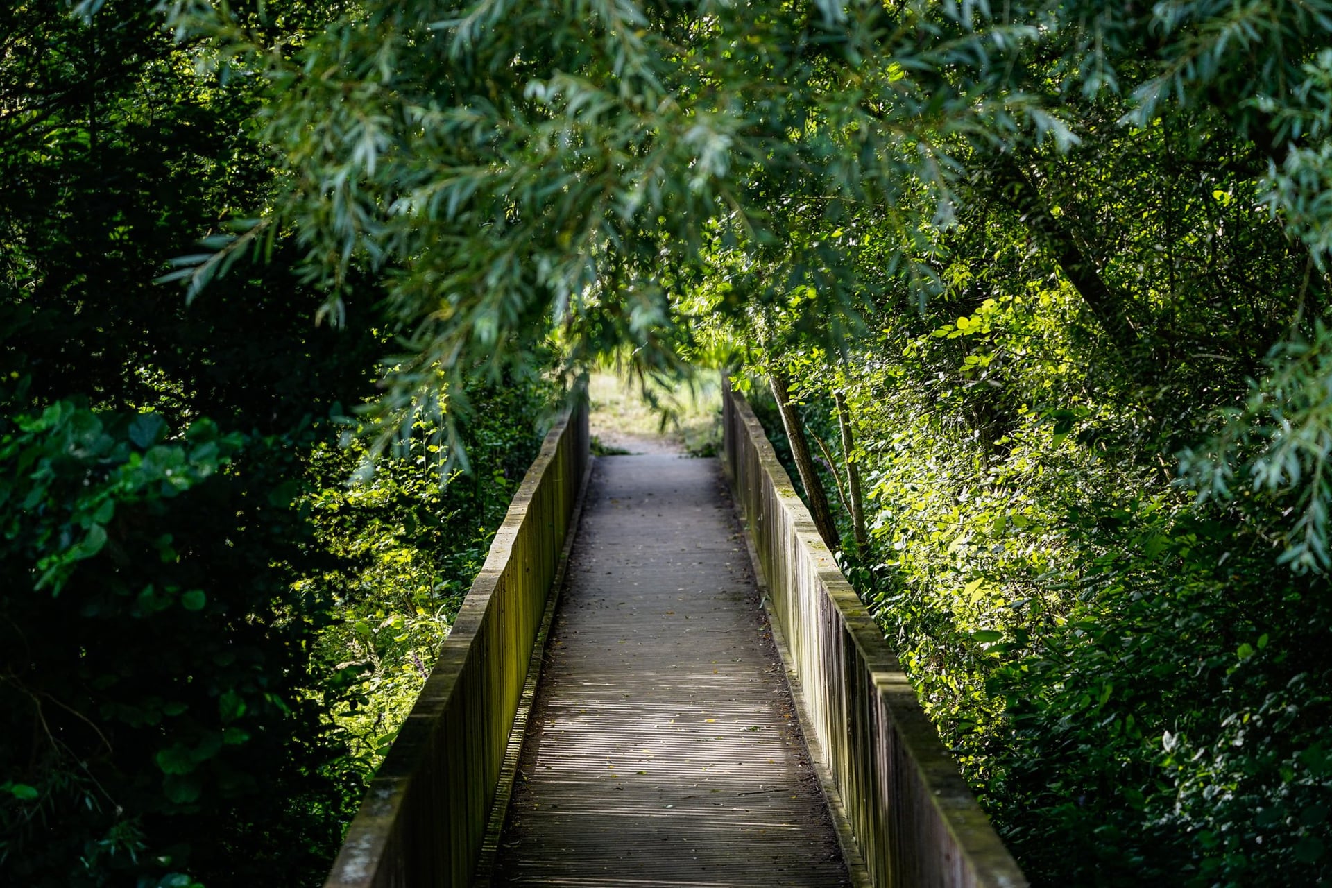 Randonnée Sylvothérapie