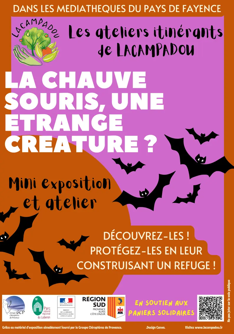 Exposition : La chauve-souris, une étrange créature !