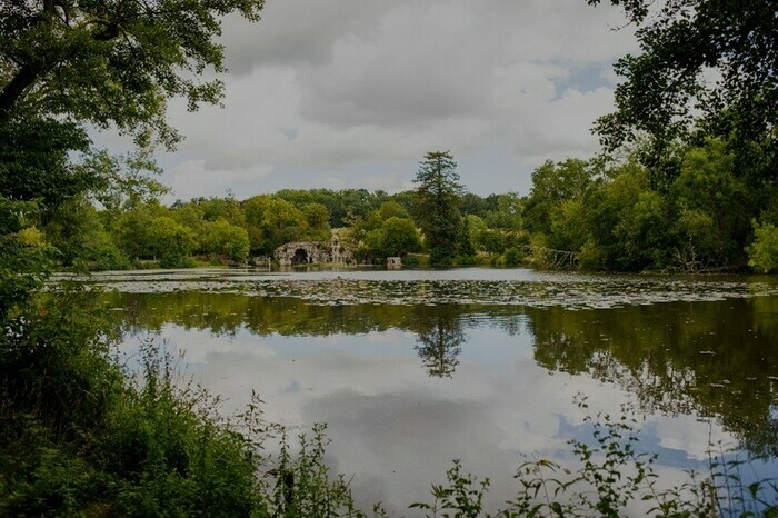 Au fil de l'eau : à la découverte de la vie aquatique du Parc Majolan
