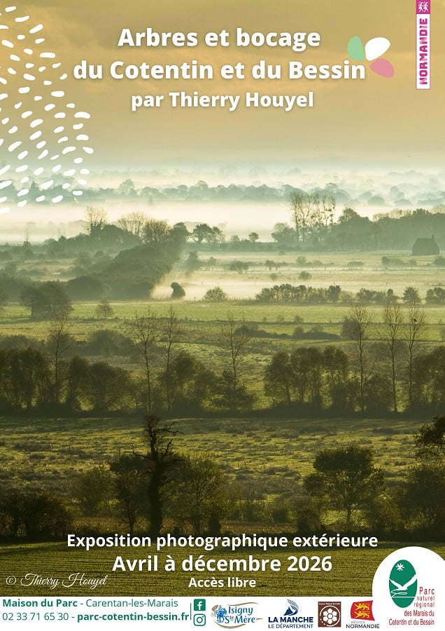 Arbres et bocage du Cotentin et du Bessin