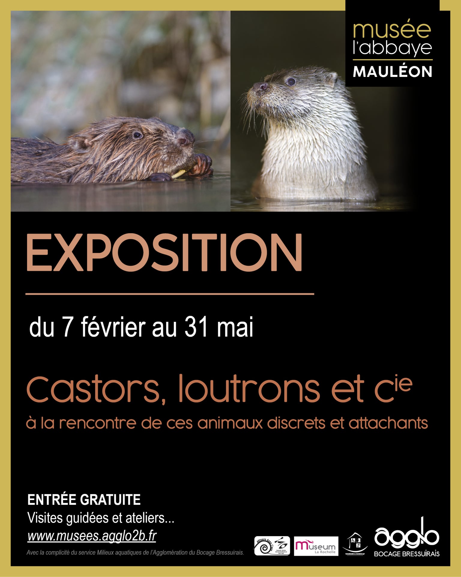 Musée L'Abbaye - Exposition - Castors, loutrons et cie