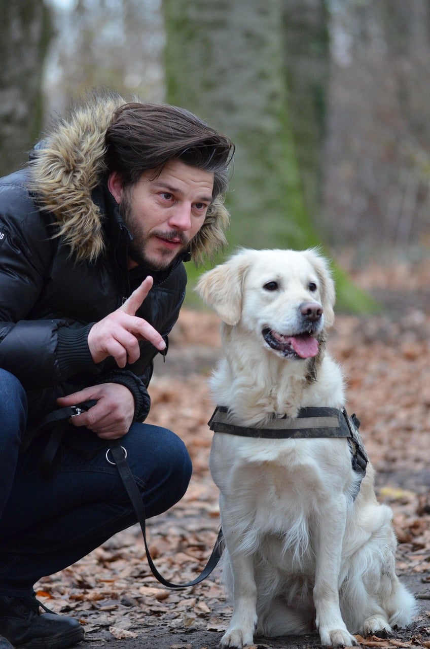 Promener son chien : Les clés pour comprendre les codes du quotidien.