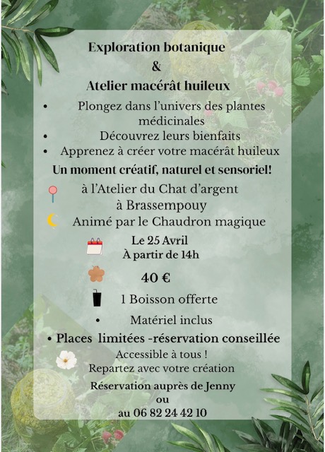 Exploration botanique & création de macérât huileux