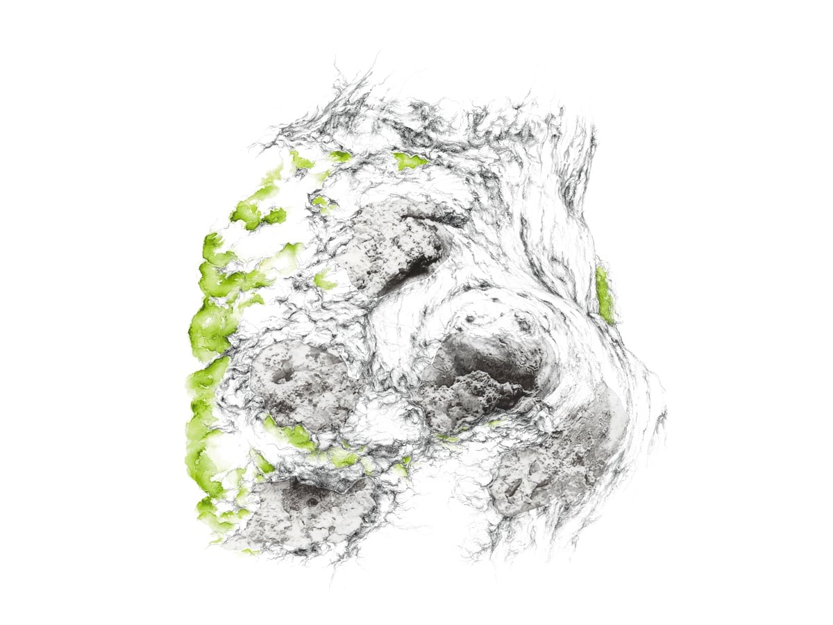 Dessin, Mathilde Wolff & photographie, Jérôme Pérez - art contemporain
