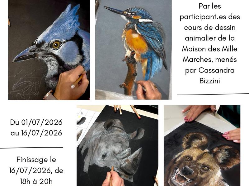 Expositions et restitution