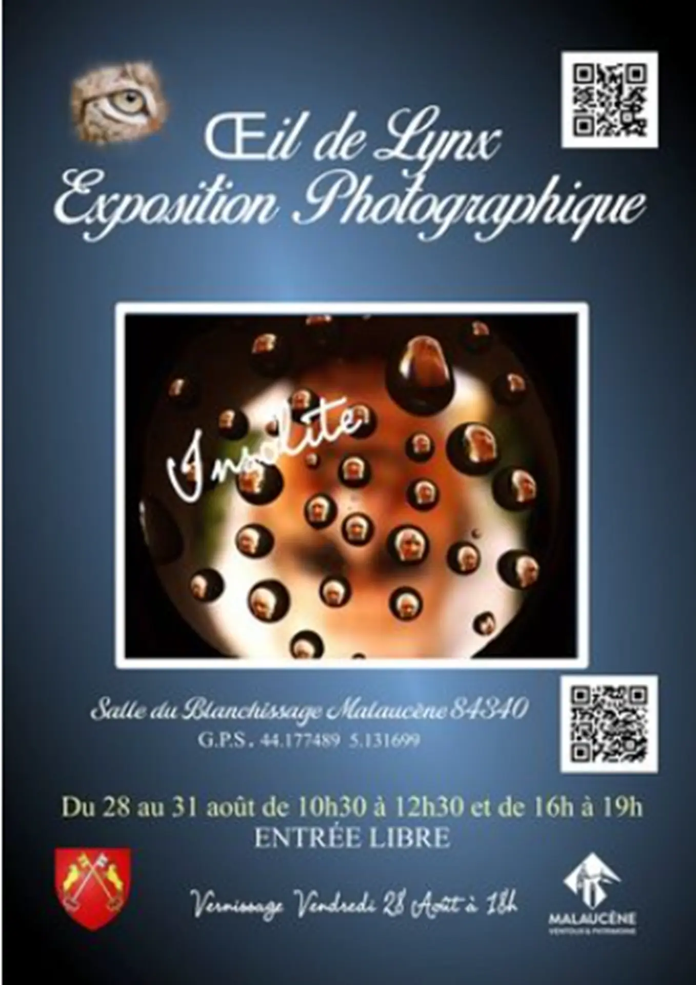 Œil de Lynx Exposition Photographique