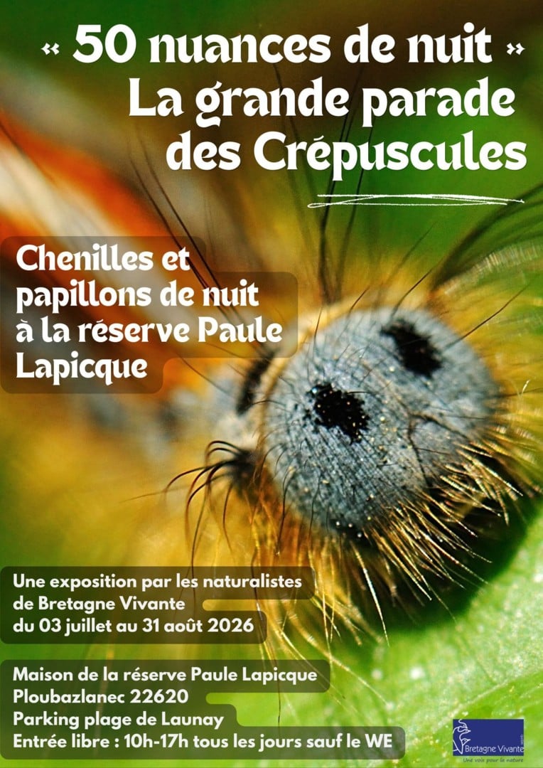 Exposition photos « 50 nuances de nuit »