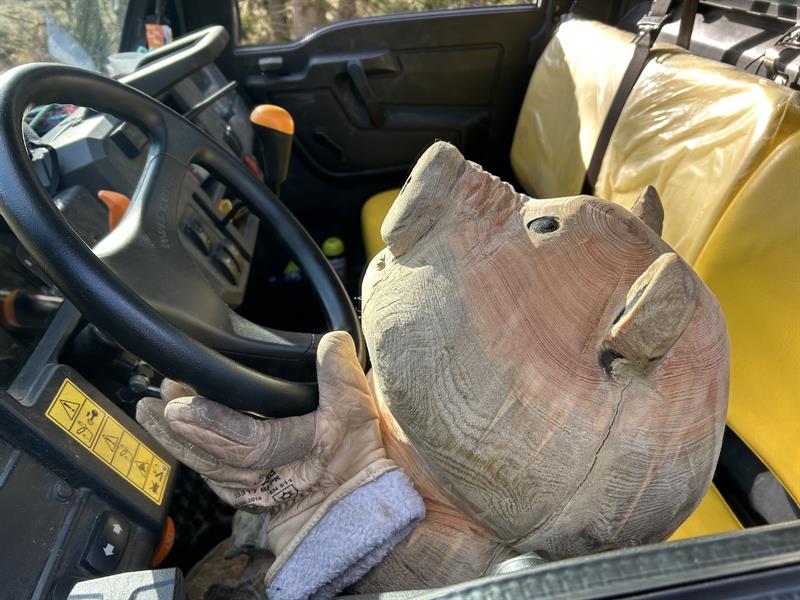 Partie de cache-cache avec Till et Froll