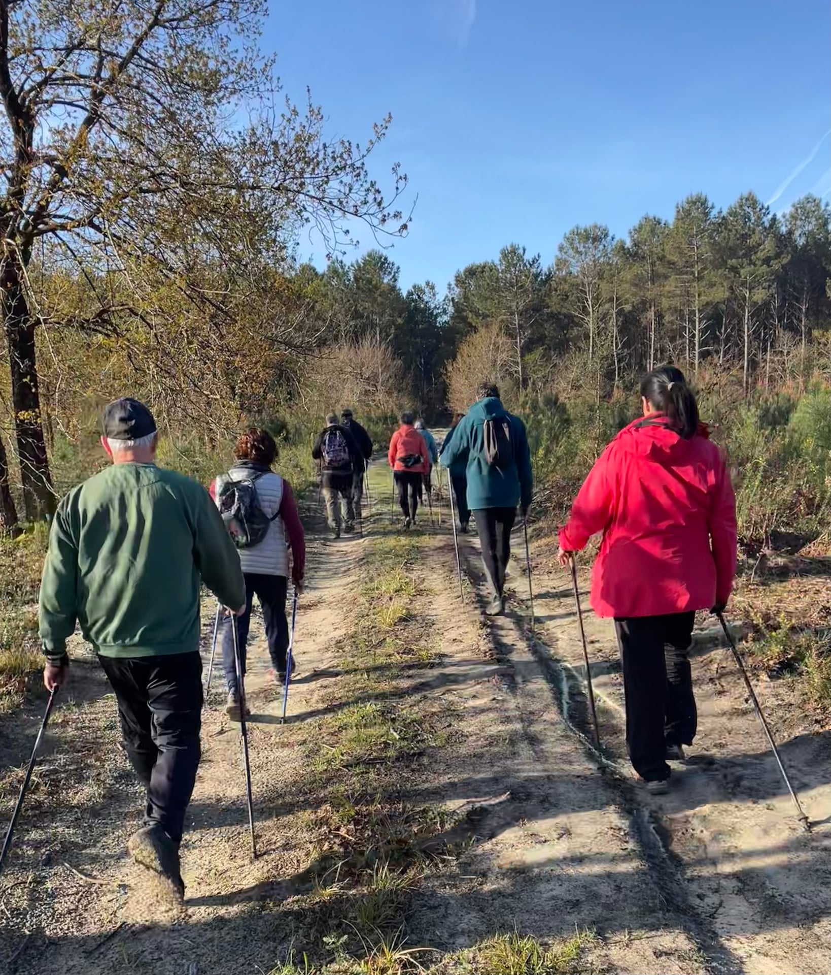 Découverte gratuite de la marche nordique