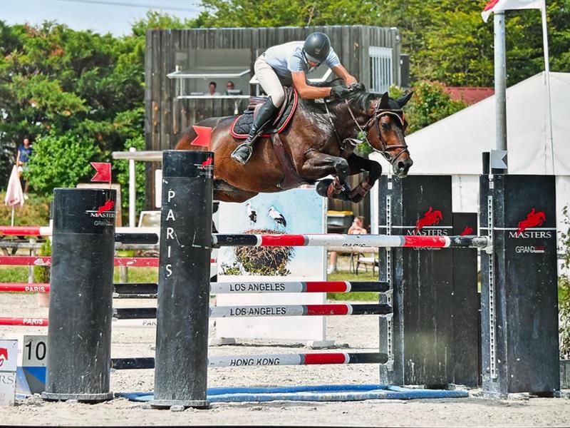 Concours de sauts d'obstacles