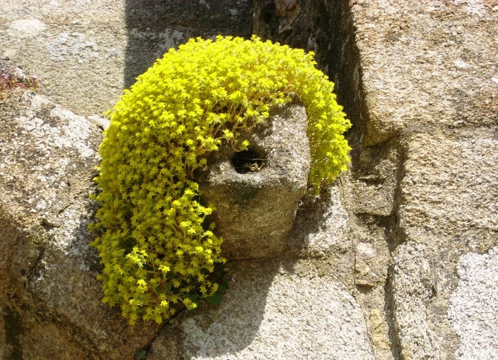 Châtelaudren SENS dessus dessous