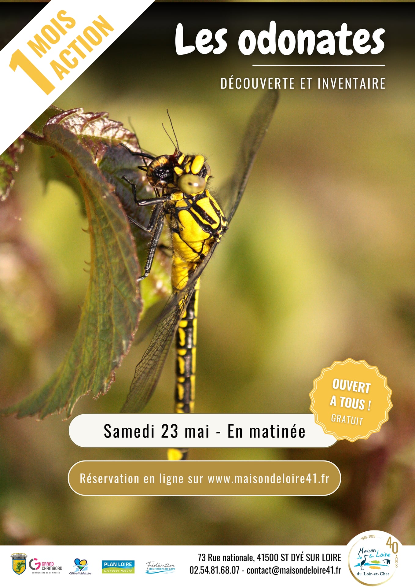 Découverte des odonates Mai Un Mois Une Action avec la Maison de la Loire