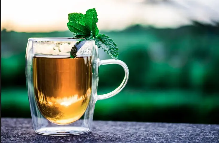Atelier de création, tisane et thé