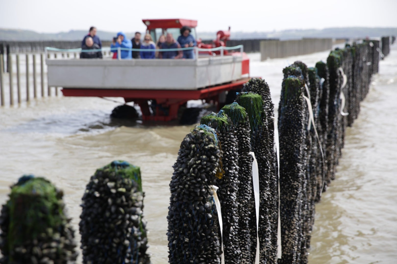 Sortie pescatourisme