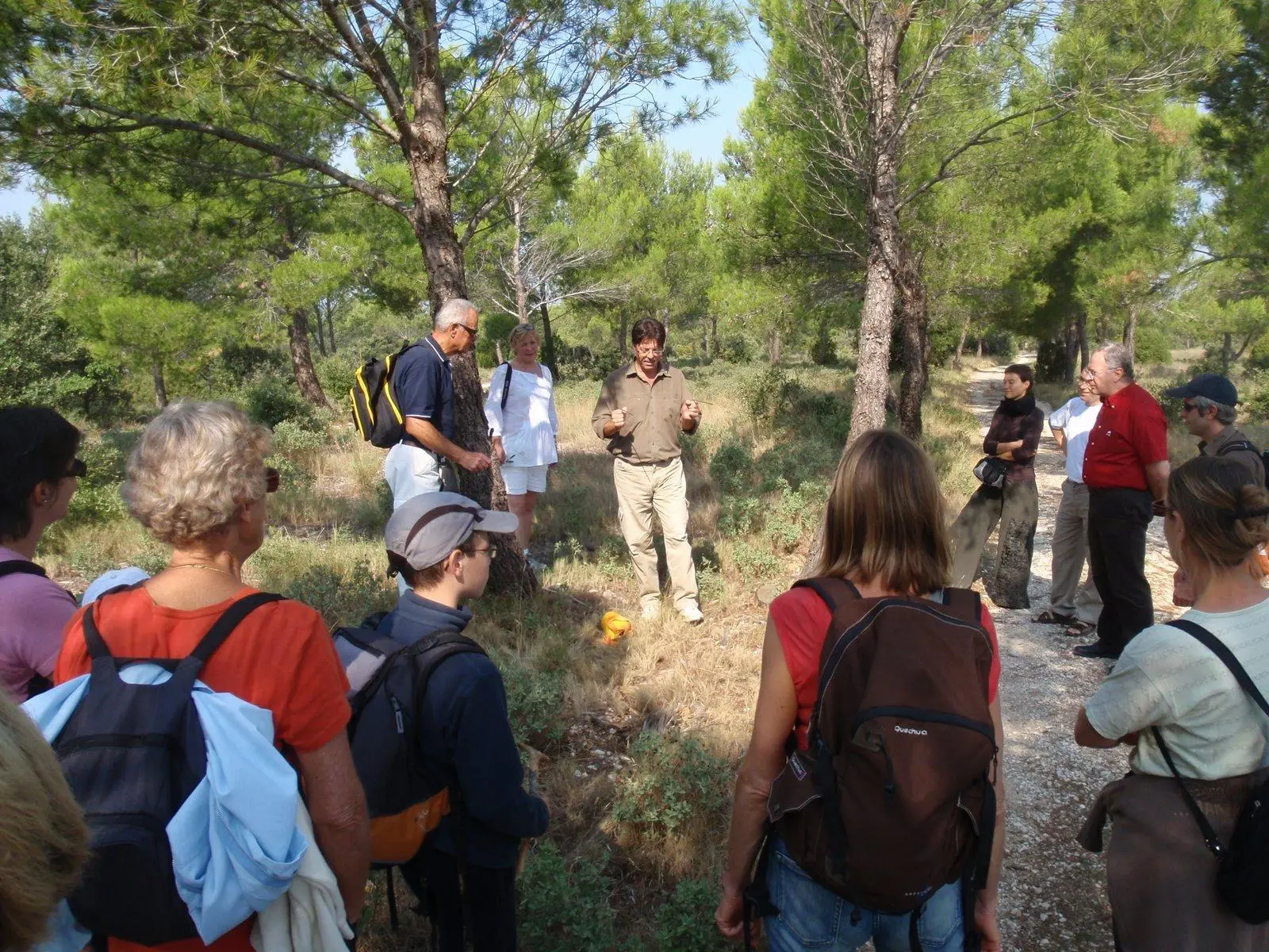 Sortie nature : La sourcellerie des Alpilles