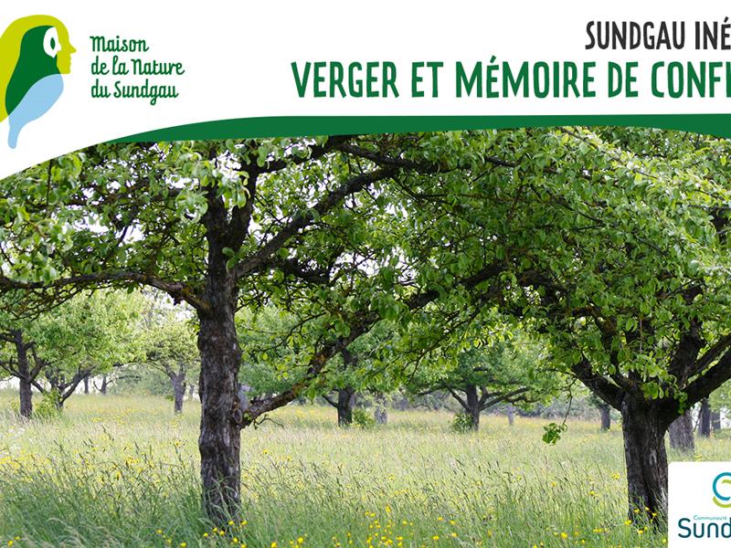 Verger et mémoire de conflit à Wittersdorf