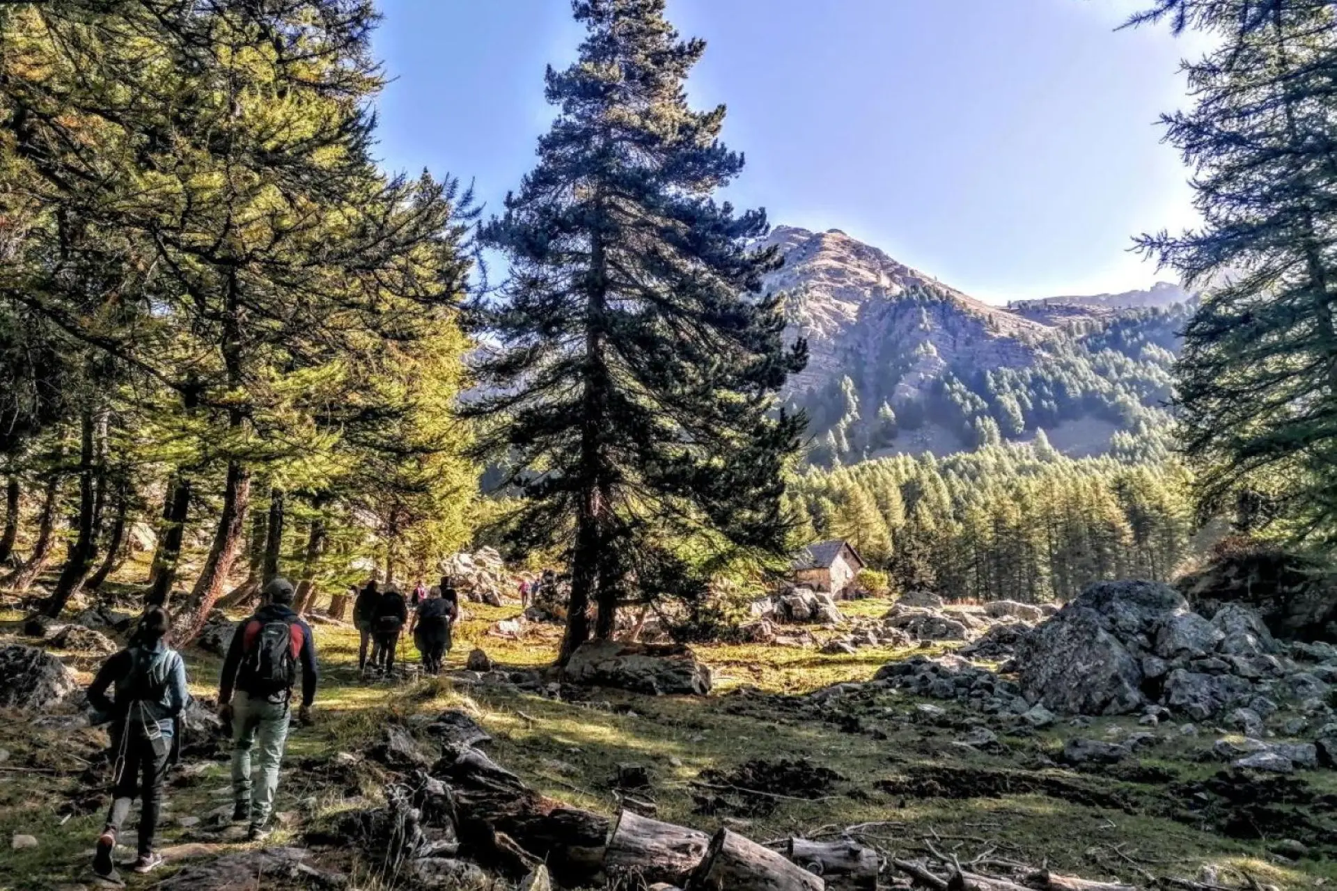 Projection documentaire avec le Parc National du Mercantour