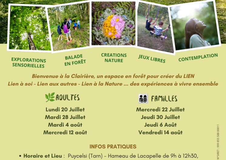 Un été en forêt