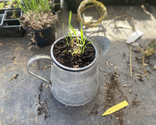 Fabrique une boule de graines à planter !