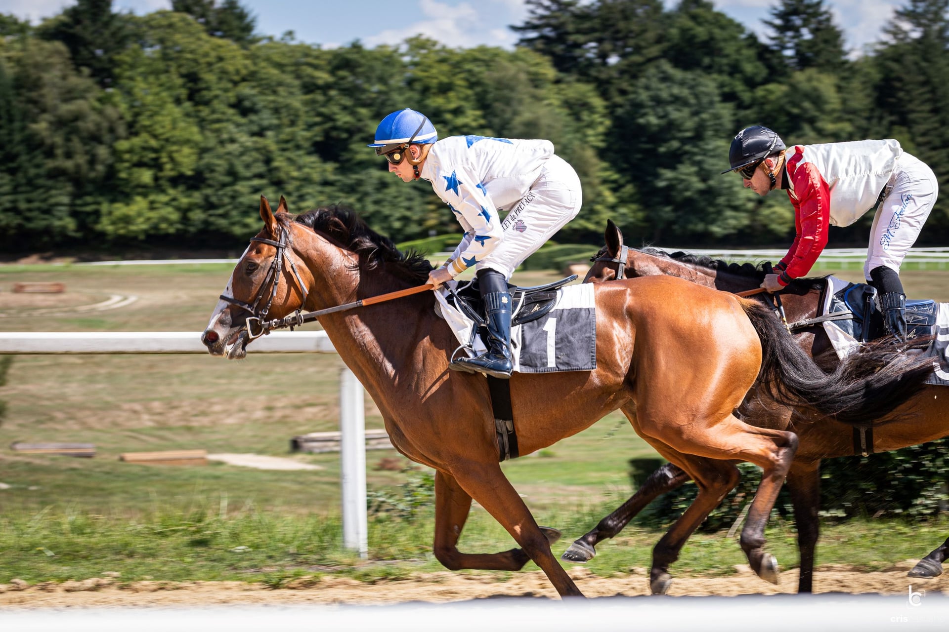Courses hippiques : Hippodrome en fête