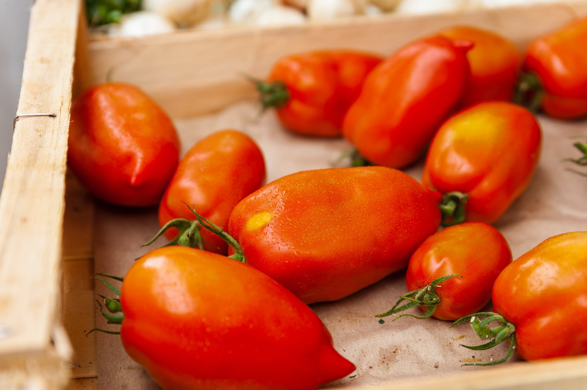 Marché d’été de Saint Germain du Bel Air