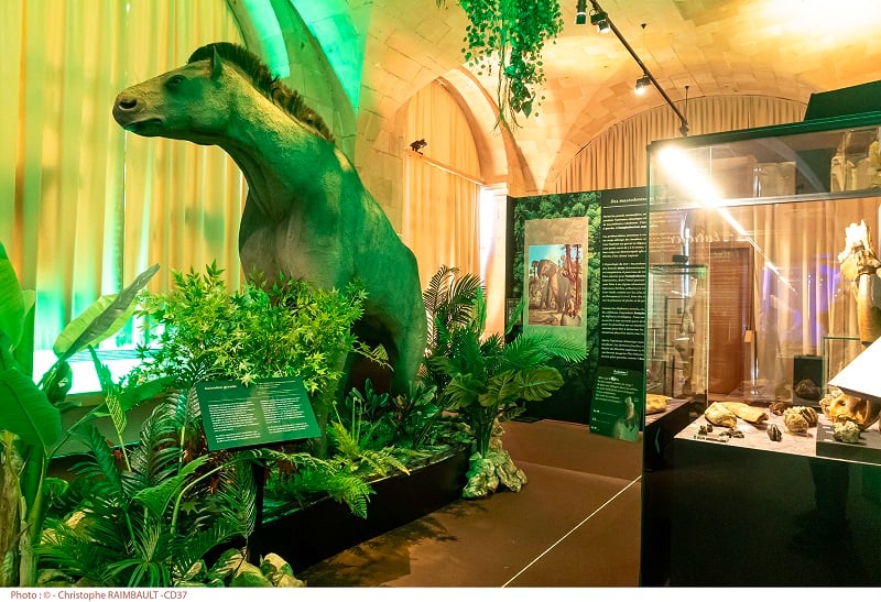 Visite guidée de l'exposition La Touraine Tropicale