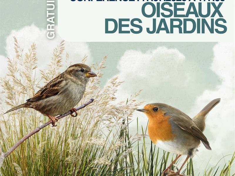 Conférence - Les oiseaux des jardins