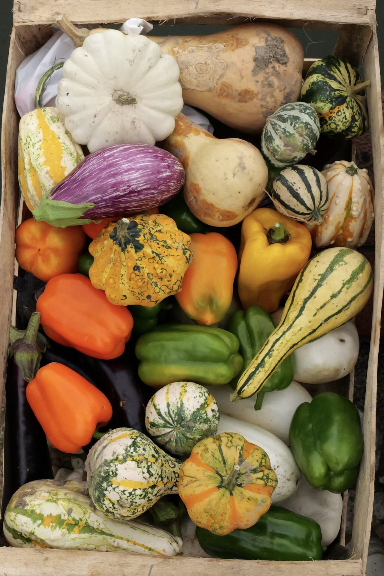 Les Journées du Potager