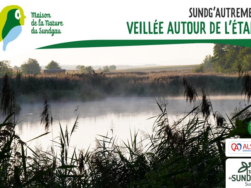 Veillée autour de l'étang