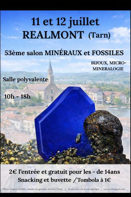 53ème salon des minéraux et fossiles