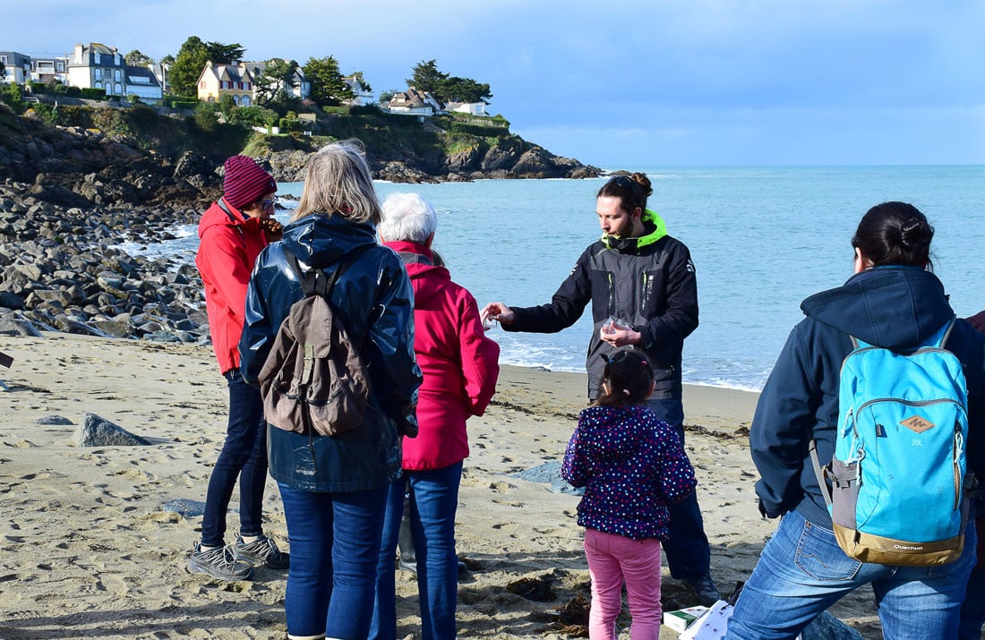Les Z’éco-Nature : Les super-pouvoirs des petites bêtes du bord de mer