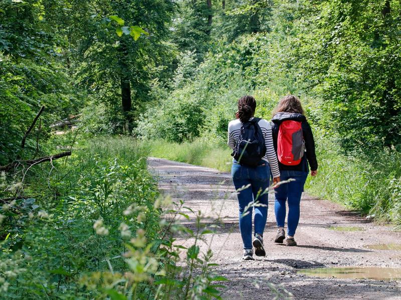Les Rendez-vous Nature - Découverte de la forêt de Zetting