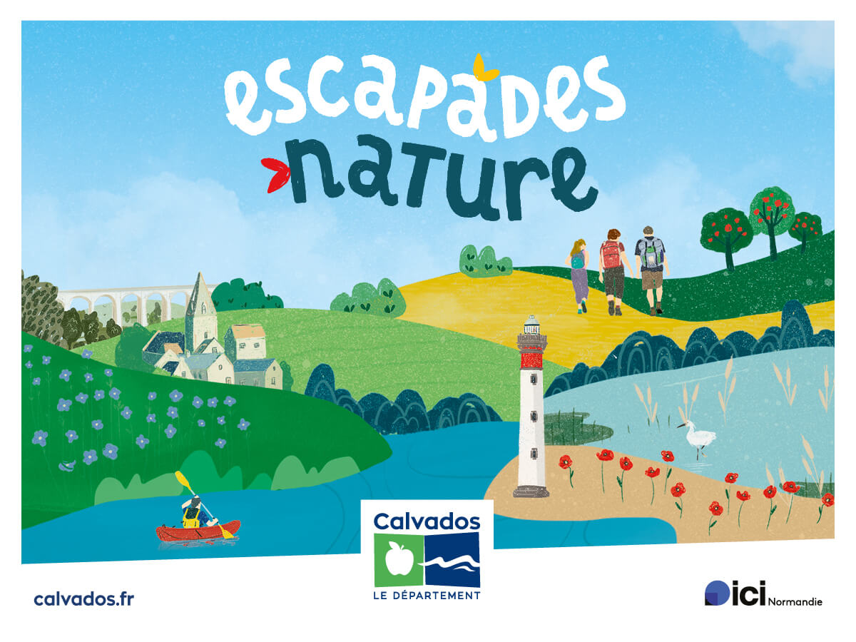 Carnets nature et autres créations végétales