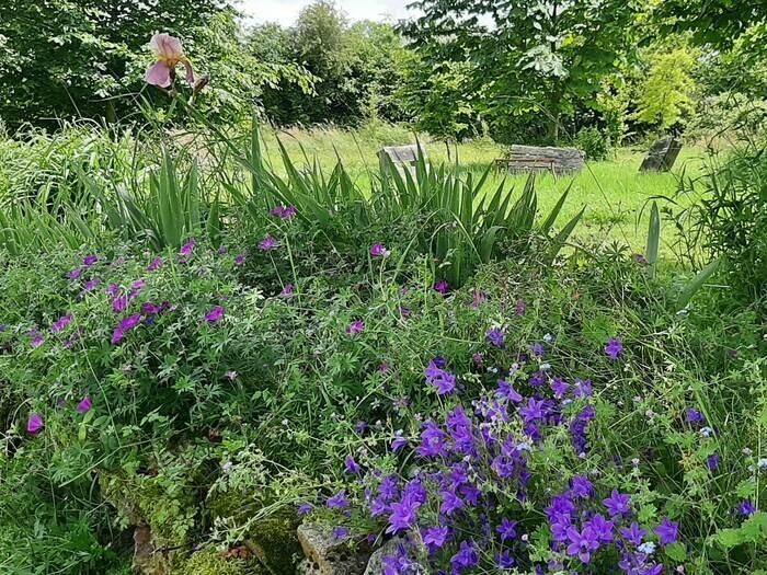 Rendez-vous aux Jardins - Jardin vivrier et paysager de La Bennerie