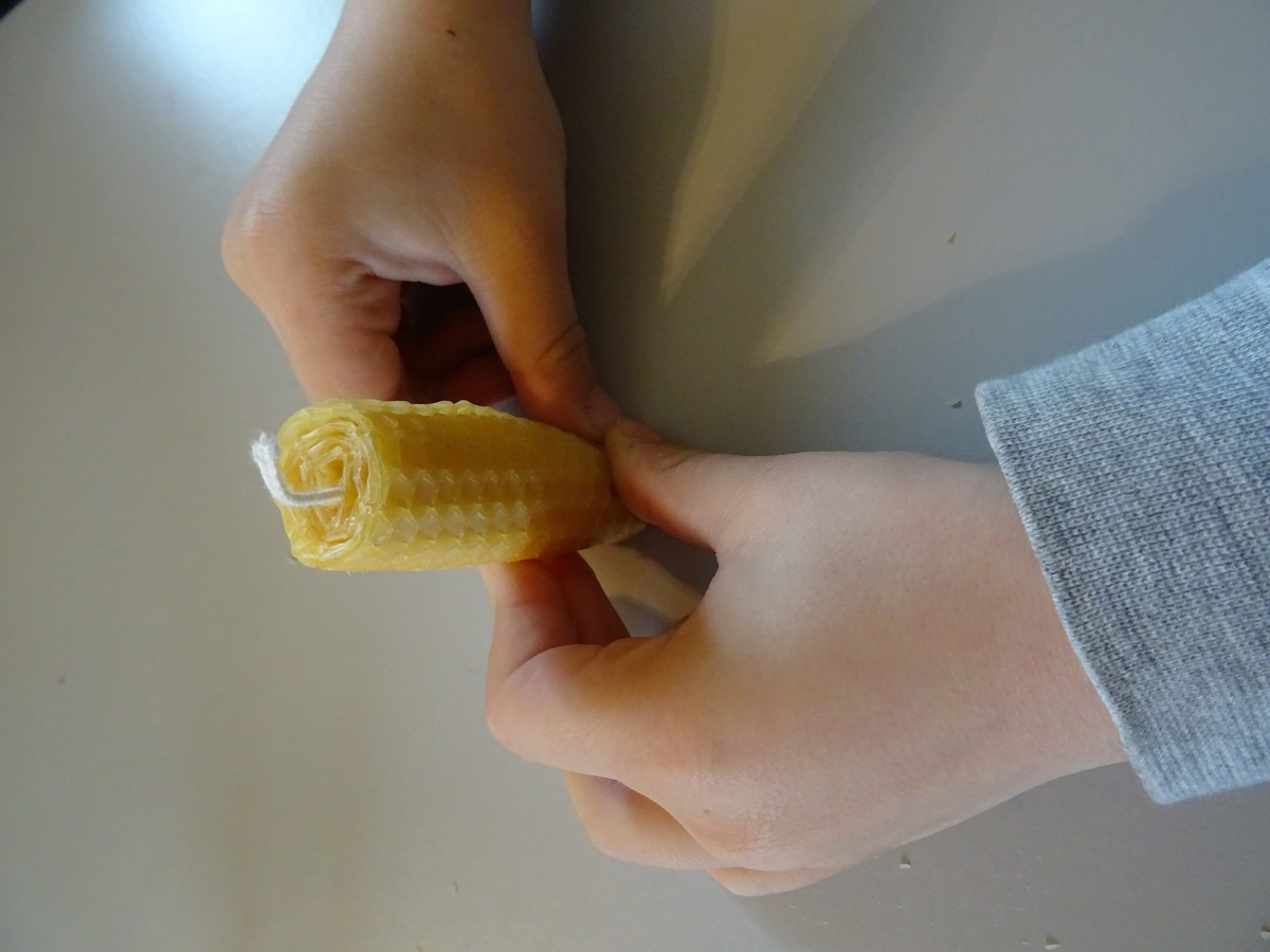 Découverte des abeilles et fabrication de bougie - Ferme-musée du Cotentin