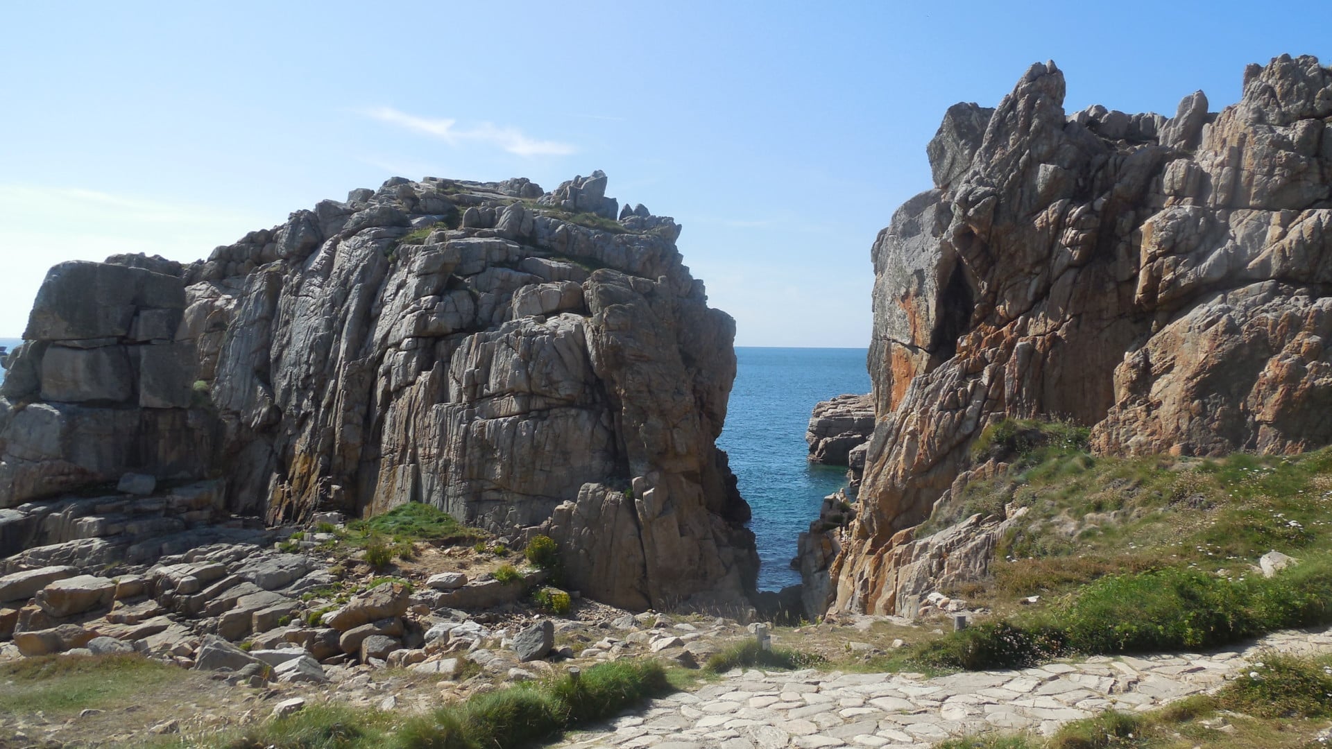 Atelier d’initiation au dessin botanique