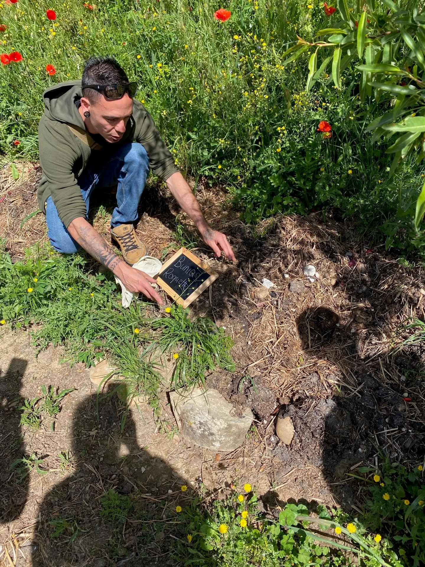 Balade et atelier : autour des plantes sauvages