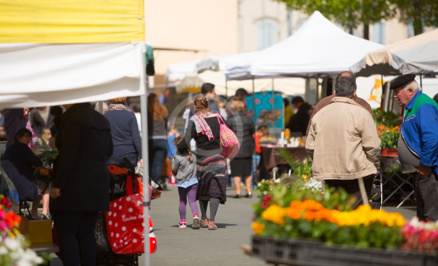 Marché traditionnel