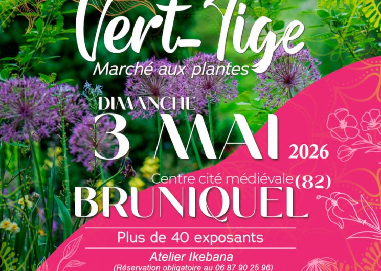 Marché aux plantes Vert-Tige