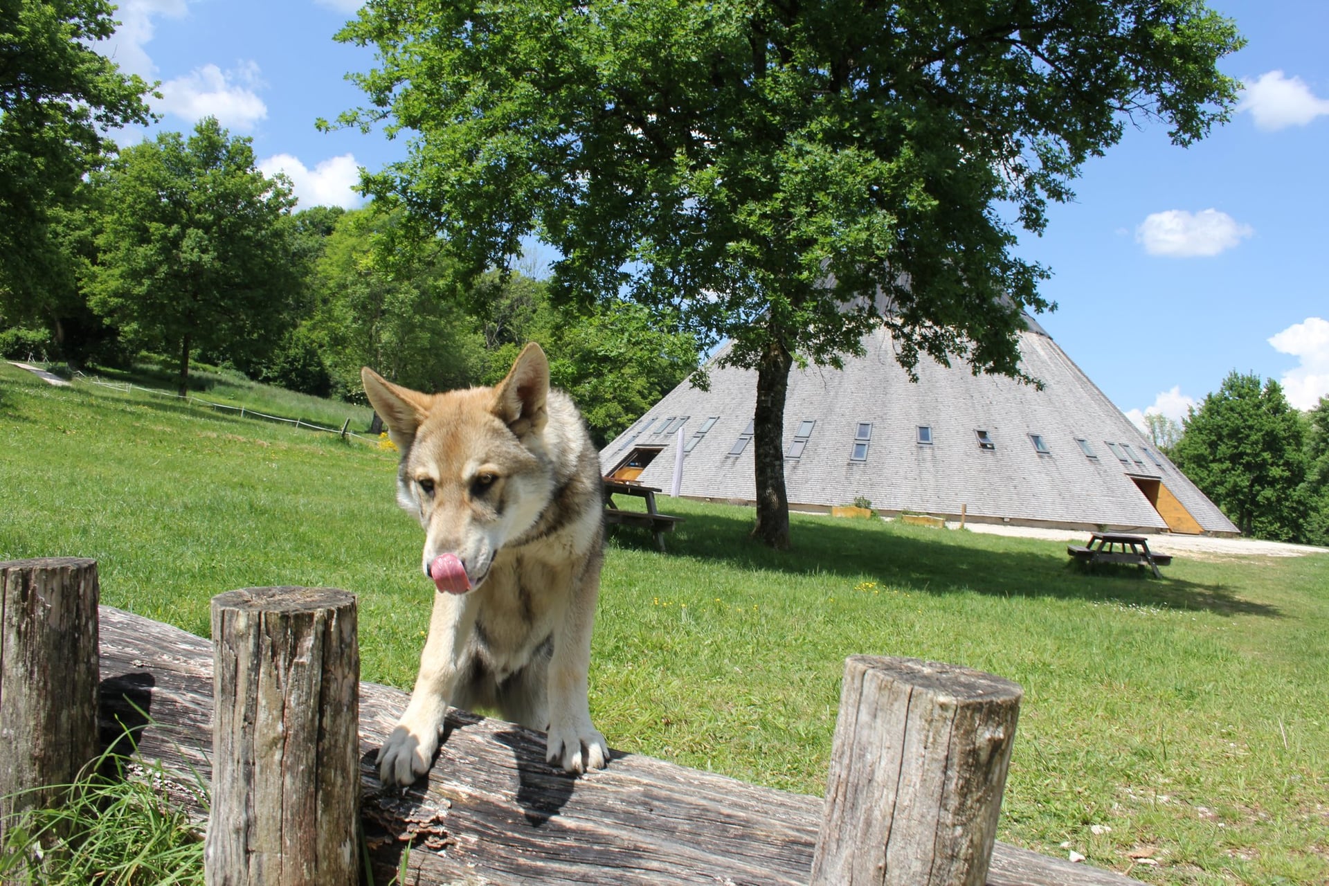 Animations Nature à la Pyramide du Loup cet été !