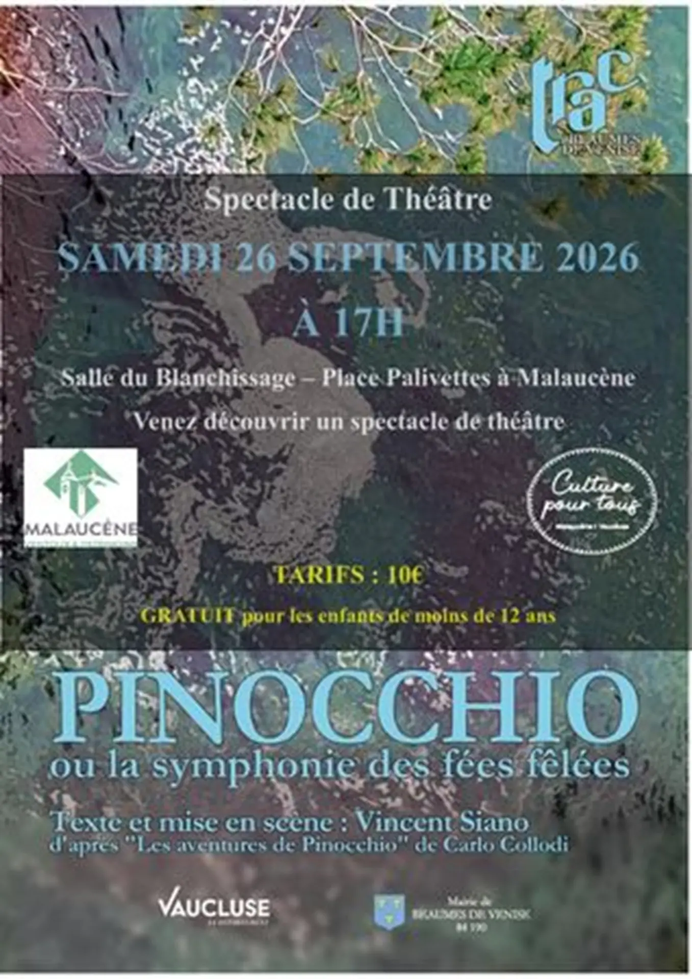 Spectacle de théâtre Pinocchio