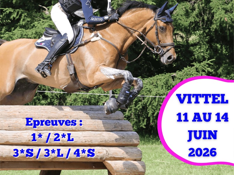 Concours Complet International (équestre)