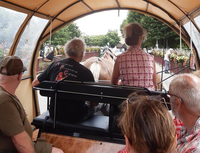 Activité : balade en calèche