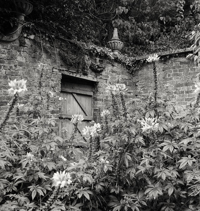 Exposition photographique "Secret Gardens" chez Livres Books & Co