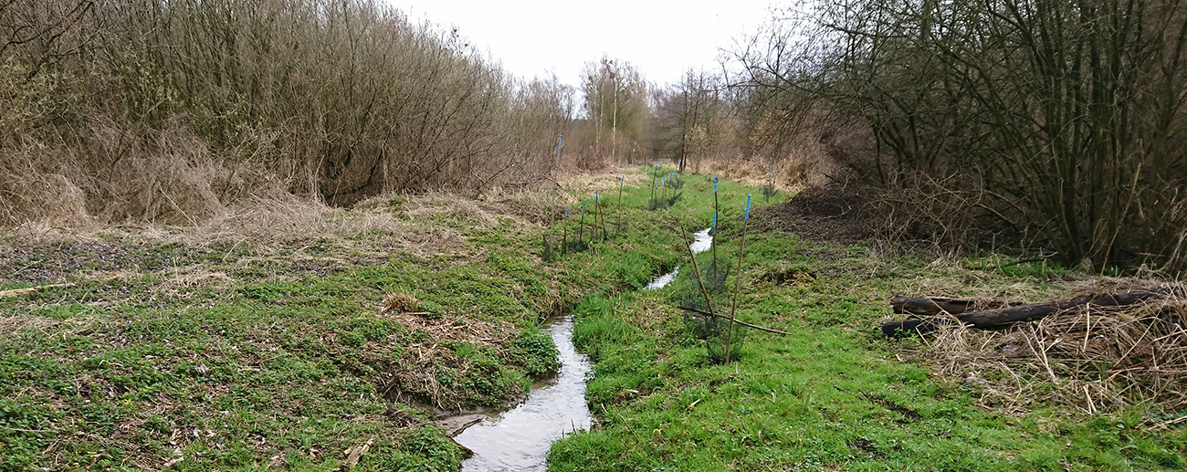 Sortie nature à Etouvelles : "Retour à l’état naturel de l’Ardon"