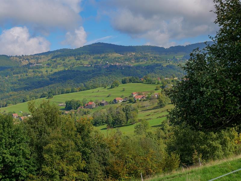 Du paysage vu au paysage dégusté... du champ à l'assiette à la ferme-auberge du Ban de la Roche