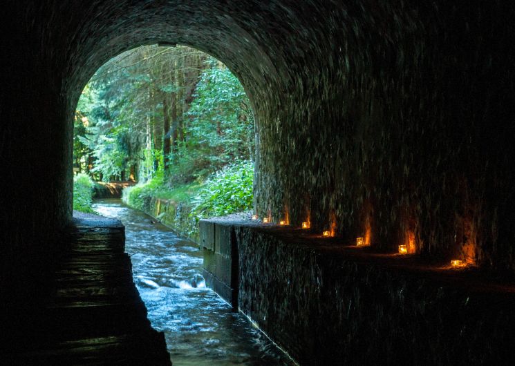 BALADE NOCTURNE EN FAMILLE DANS LA FORET DE L’AIGUILLE