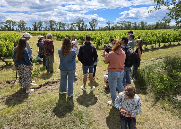 Balade au coeur du vignoble & découverte de la génodique