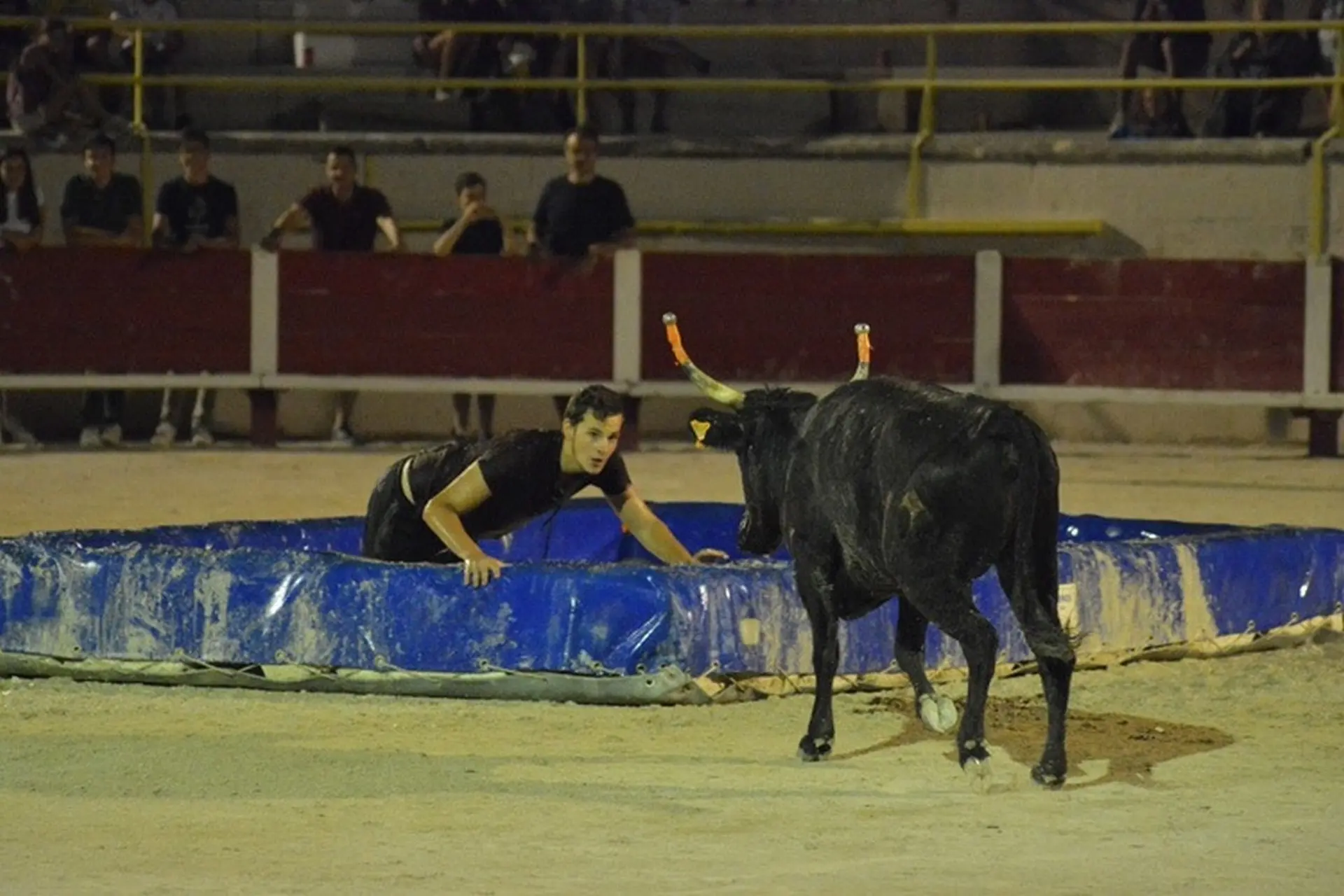 Taureau piscine - Club taurin Lou glanum