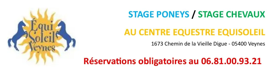Stage Poneys/Chevaux Ete